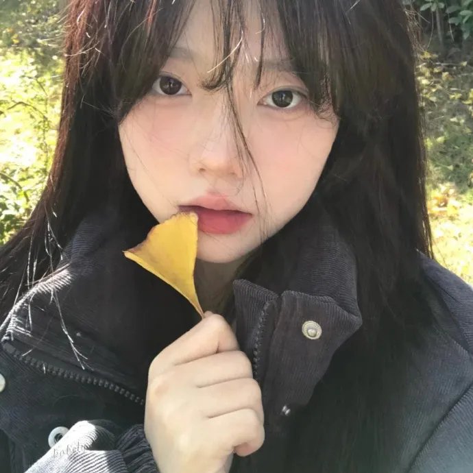 被解放的蠢朋克